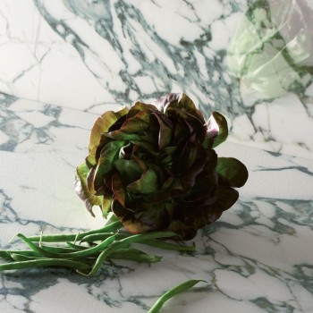 pulp-green-double-polished-60-x-120-cm (2).jpg