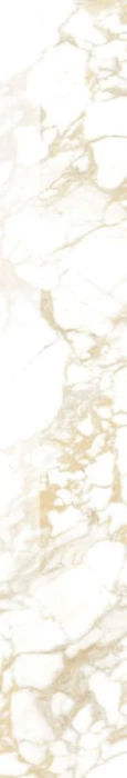 pulp-gold-double-honed-10-x-60-cm.jpg