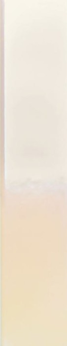 spectre-cream-hologram-5x25-cm.jpg