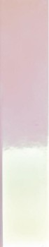 spectre-rose-hologram-5x25-cm.jpg