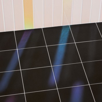 spectre-rose-hologram-5x25-cm (2).jpg