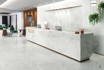 statuario delicato 1.jpg