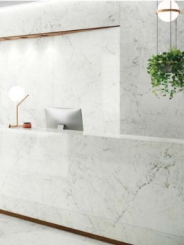 statuario delicato 3.jpg