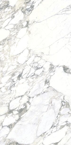 ARABESCATO STATUARIO AAA.jpg