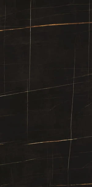 SAHARA NOIR 1.jpg