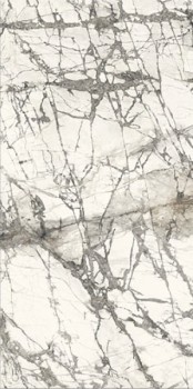 marmi calacatta grey.jpg