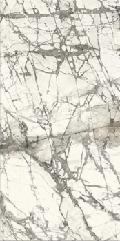 marmi calacatta grey.jpg