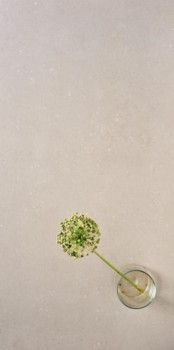 41zero42 superclassica scb natural.jpg