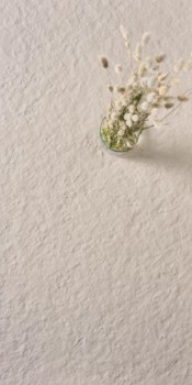 41zero42 superclassica  SCB Flamed1.jpg