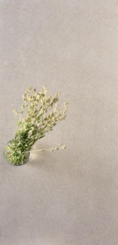 41zero42 superclassica SCB Hammered 2.jpg