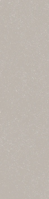 Cosmo Grigio 20x80.jpg