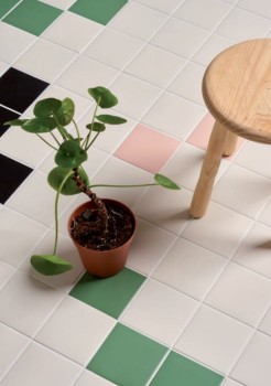 41zero42 pixel41 rose, almond, black, frog.jpg