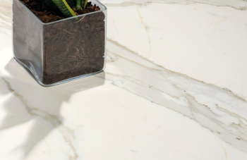 BIANCO CALACATTA 2.png