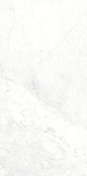 ariostea ultra marmi michelangelo.jpg
