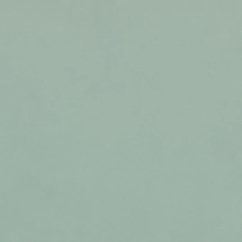 EUCALIPTO front.jpg