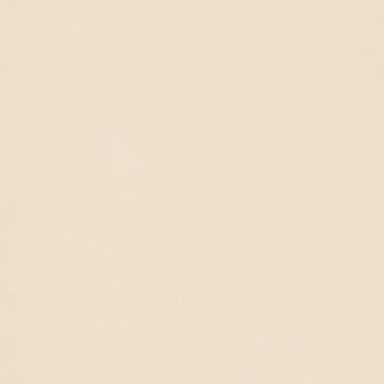 CAMELIA front.jpg