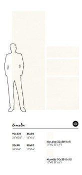 camelia sizes.jpg