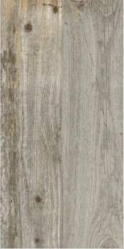 ariostea quercia petraea.jpg
