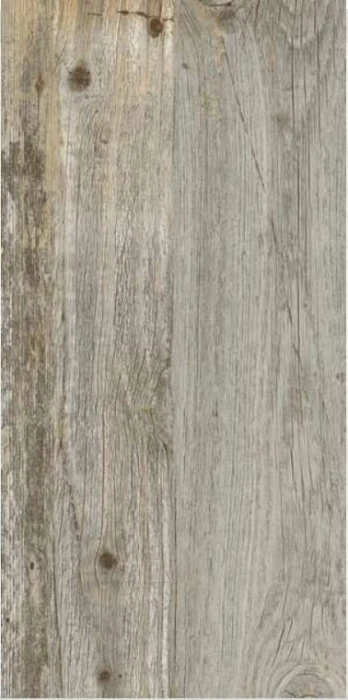ariostea quercia petraea.jpg
