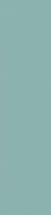 LISO XL TEAL.png
