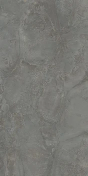 tortoise_gr1.jpg