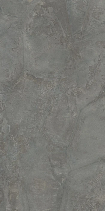 tortoise_gr1.jpg