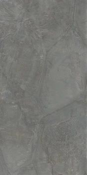 tortoise_gr2.jpg