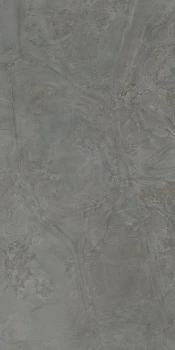 tortoise_gr3.jpg