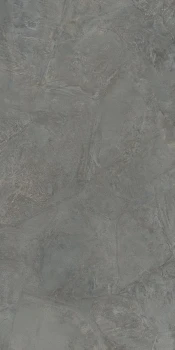 tortoise_gr4.jpg