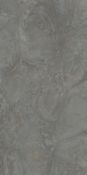 tortoise_gr1.jpg