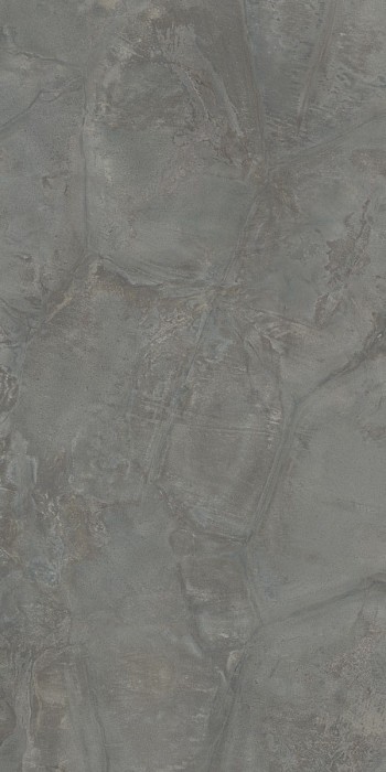 tortoise_gr1.jpg