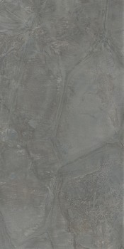 tortoise_gr2.jpg