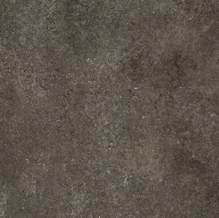 florim sensi brown fossil naturale 120x120 1.png