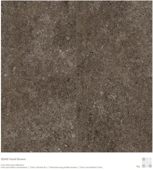 florim sensi brown fossil naturale 120x120 6.png