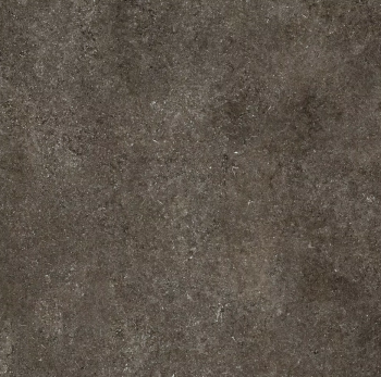 florim sensi brown fossil naturale 120x120 1.png