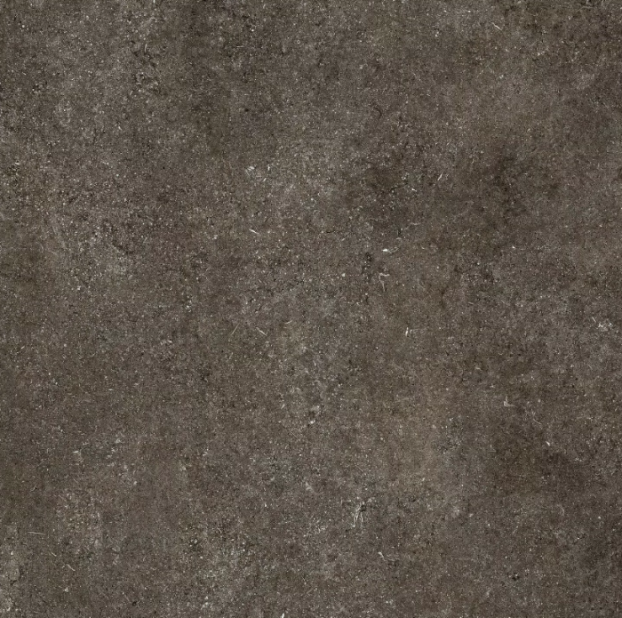 florim sensi brown fossil naturale 120x120 1.png