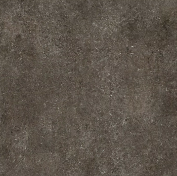 florim sensi brown fossil naturale 120x120 3.png