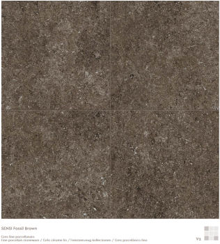 florim sensi brown fossil naturale 120x120 6.png