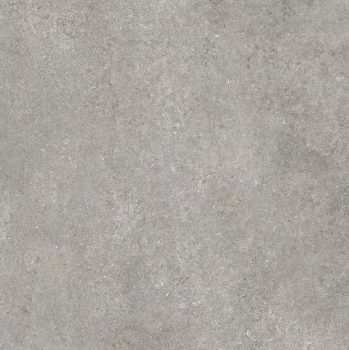 florim sensi grey fossil naturale 120x120 1.png