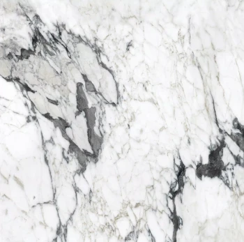 calacatta altissimo blanc 120x120 glossy 4.png