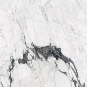 calacatta altissimo blanc glossy 2.png