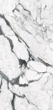 calacatta altissimo blanc 240x120 glossy .png
