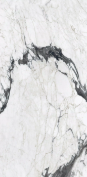 calacatta altissimo blanc 240x120 glossy 1.png