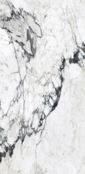 calacatta altissimo blanc 240x120 glossy 3.png