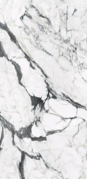 calacatta altissimo blanc 240x120 glossy .png