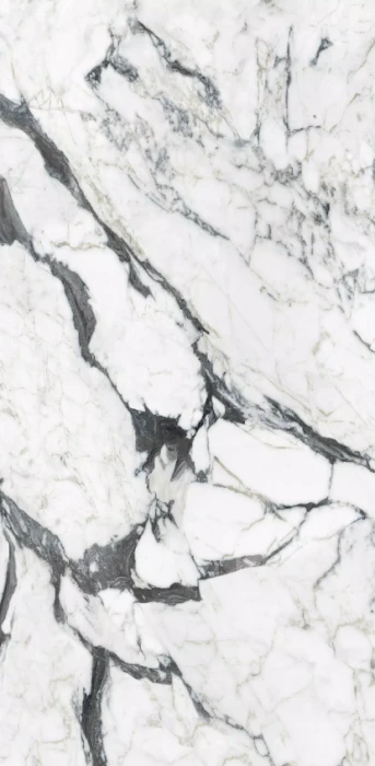 calacatta altissimo blanc 240x120 glossy .png
