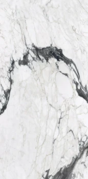 calacatta altissimo blanc 240x120 glossy 1.png