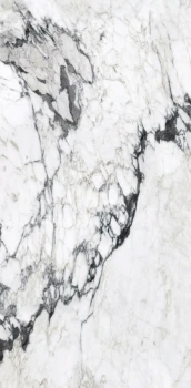 calacatta altissimo blanc 240x120 glossy 3.png