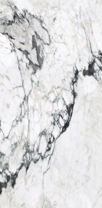 calacatta altissimo blanc 240x120 glossy 3.png