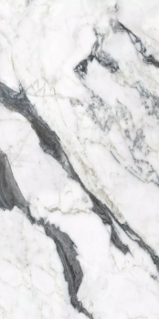 calacatta altissimo blanc 120x60 glossy .png